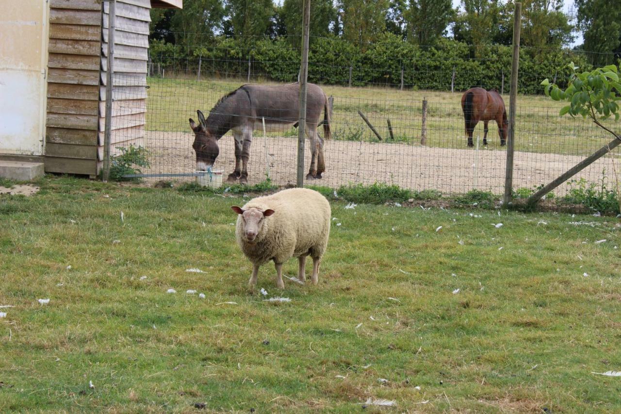 Gite En Campagne Isatis Landemont Exterior foto